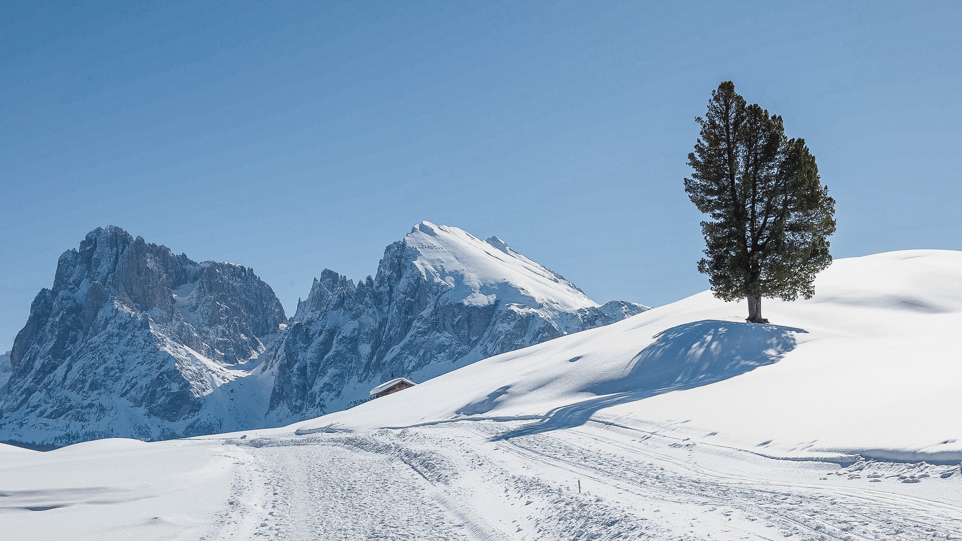 Hotel direttamente sull’Alpe di Siusi Hotel direttamente sull’Alpe di Siusi